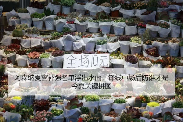 阿森纳夏窗补强名单浮出水面，锋线中场后防谁才是今夏关键拼图